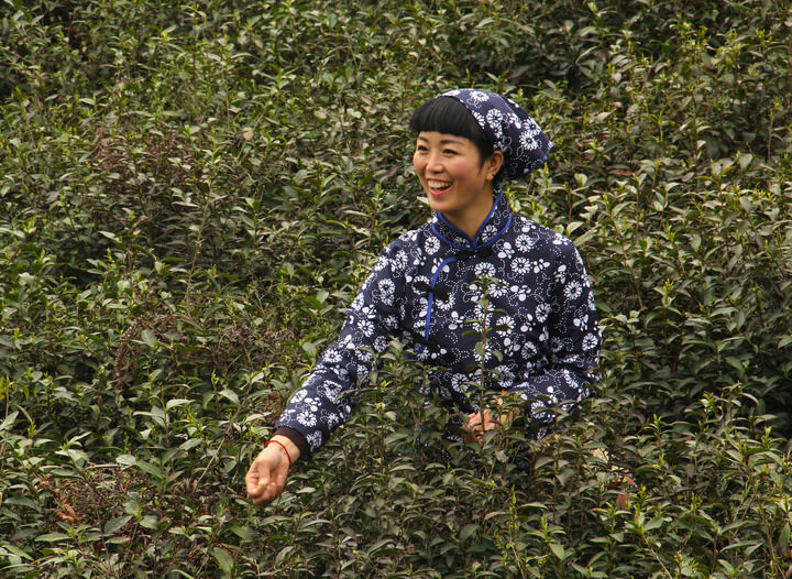 飞兔ios 直播 子弹酒吧